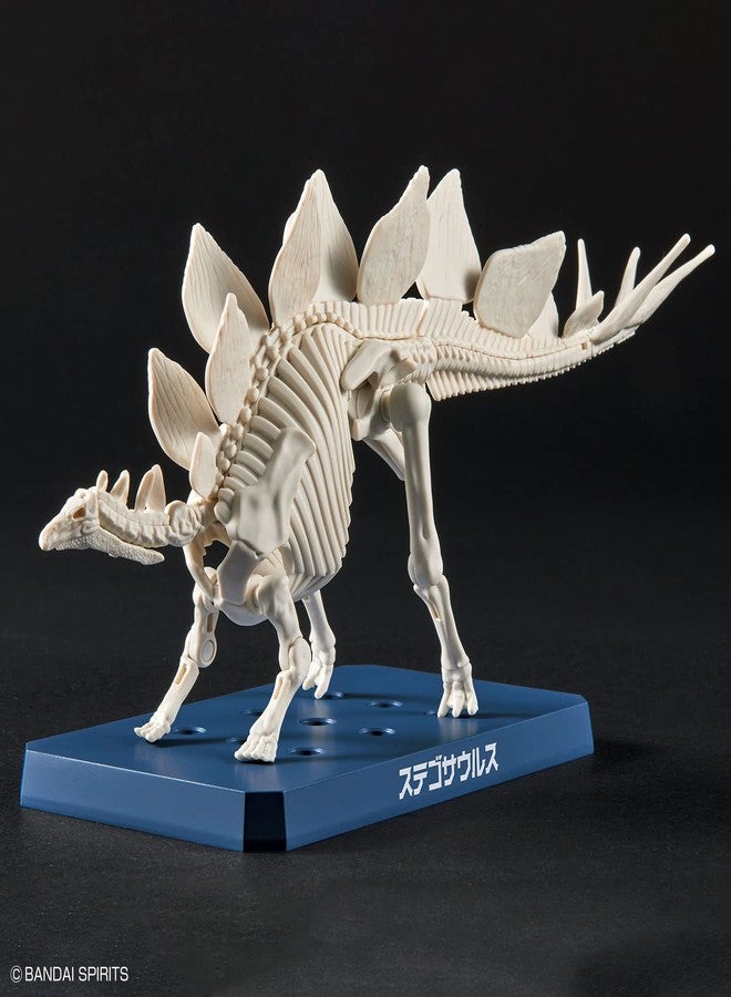 BANDAI SPIRITS Bandai Hobby - Plannosaurus - #03 Stegosaurus, Bandai Spirits Dinosaur Model Kit - Image 3
